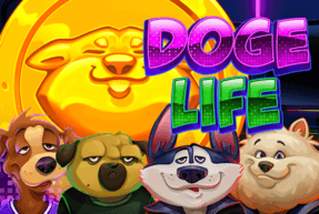 Doge life thumbnail